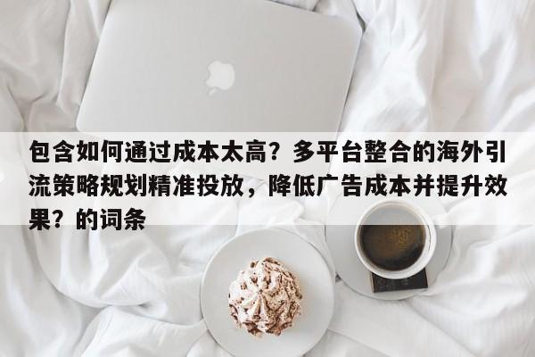 包含如何通过成本太高？多平台整合的海外引流策略规划精准投放，降低广告成本并提升效果？的词条