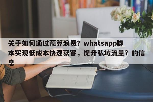 关于如何通过预算浪费？whatsapp脚本实现低成本快速获客，提升私域流量？的信息