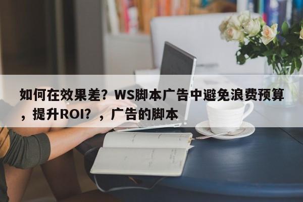 如何在效果差？WS脚本广告中避免浪费预算，提升ROI？，广告的脚本