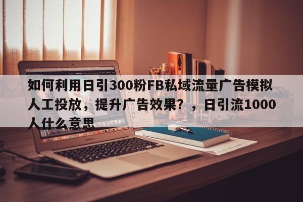如何利用日引300粉FB私域流量广告模拟人工投放，提升广告效果？，日引流1000人什么意思