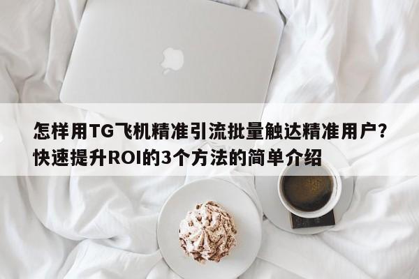 怎样用TG飞机精准引流批量触达精准用户？快速提升ROI的3个方法的简单介绍