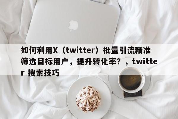 如何利用X（twitter）批量引流精准筛选目标用户，提升转化率？，twitter 搜索技巧