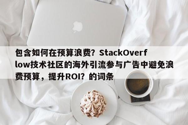 包含如何在预算浪费？StackOverflow技术社区的海外引流参与广告中避免浪费预算，提升ROI？的词条