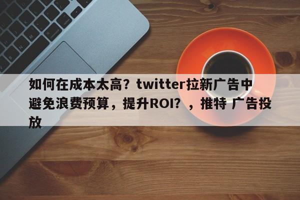 如何在成本太高？twitter拉新广告中避免浪费预算，提升ROI？，推特 广告投放