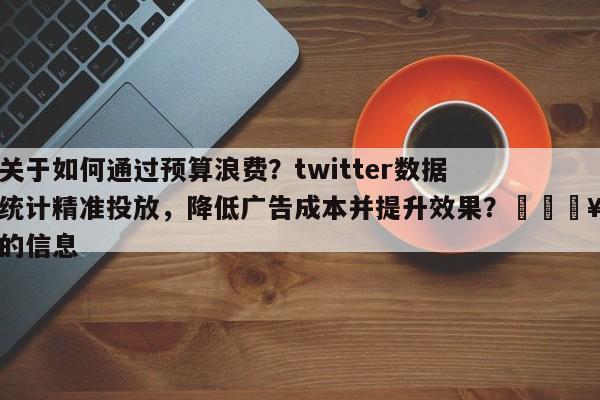 关于如何通过预算浪费？twitter数据统计精准投放，降低广告成本并提升效果？💥的信息