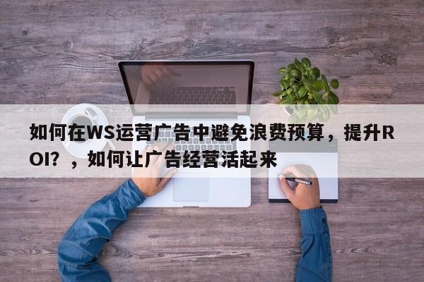 如何在WS运营广告中避免浪费预算，提升ROI？，如何让广告经营活起来