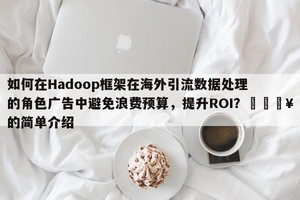 如何在Hadoop框架在海外引流数据处理的角色广告中避免浪费预算，提升ROI？💥的简单介绍