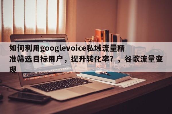 如何利用googlevoice私域流量精准筛选目标用户，提升转化率？，谷歌流量变现