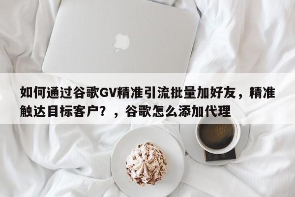 如何通过谷歌GV精准引流批量加好友，精准触达目标客户？，谷歌怎么添加代理
