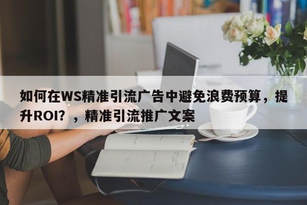 如何在WS精准引流广告中避免浪费预算，提升ROI？，精准引流推广文案