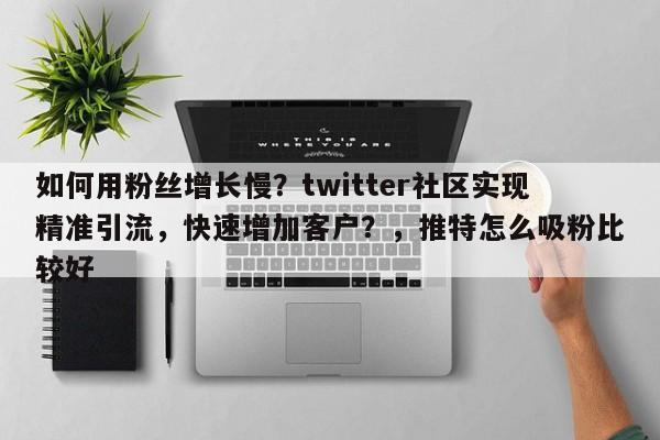 如何用粉丝增长慢？twitter社区实现精准引流，快速增加客户？，推特怎么吸粉比较好