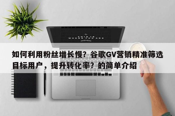 如何利用粉丝增长慢？谷歌GV营销精准筛选目标用户，提升转化率？的简单介绍