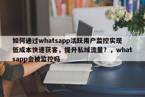 如何通过whatsapp活跃用户监控实现低成本快速获客，提升私域流量？，whatsapp会被监控吗