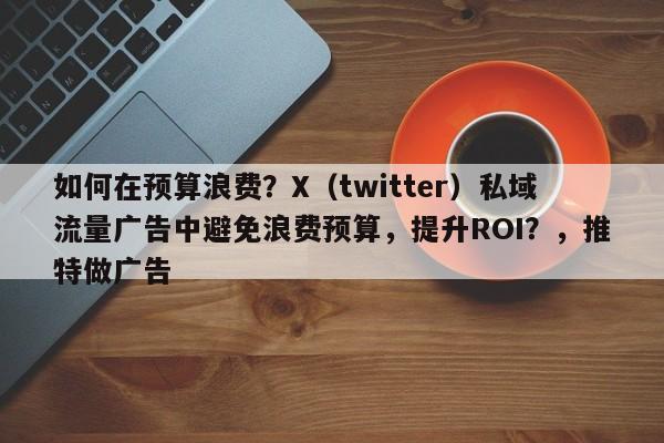 如何在预算浪费？X（twitter）私域流量广告中避免浪费预算，提升ROI？，推特做广告