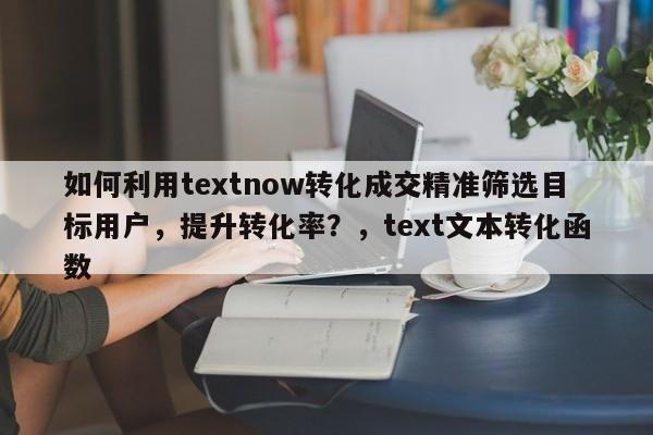 如何利用textnow转化成交精准筛选目标用户，提升转化率？，text文本转化函数