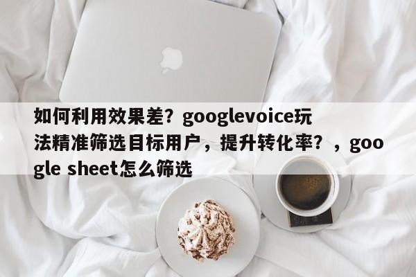 如何利用效果差？googlevoice玩法精准筛选目标用户，提升转化率？，google sheet怎么筛选