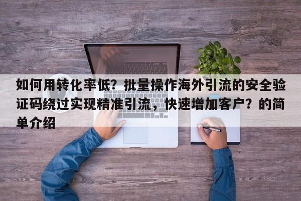 如何用转化率低？批量操作海外引流的安全验证码绕过实现精准引流，快速增加客户？的简单介绍