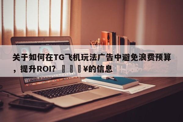 关于如何在TG飞机玩法广告中避免浪费预算，提升ROI？💥的信息