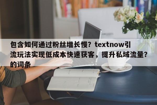包含如何通过粉丝增长慢？textnow引流玩法实现低成本快速获客，提升私域流量？的词条