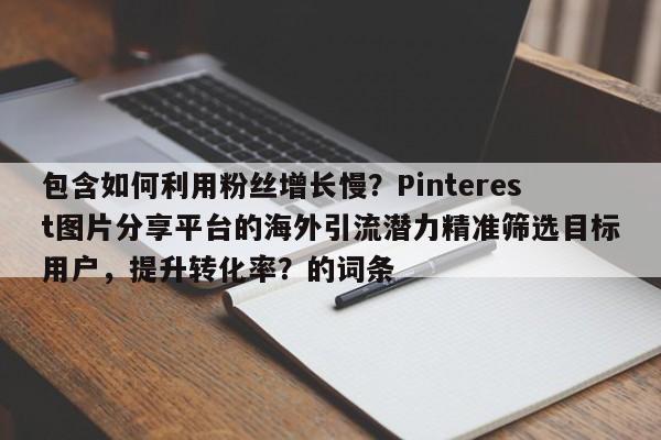 包含如何利用粉丝增长慢？Pinterest图片分享平台的海外引流潜力精准筛选目标用户，提升转化率？的词条