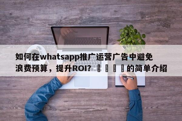 如何在whatsapp推广运营广告中避免浪费预算，提升ROI？📌的简单介绍