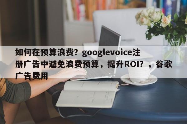 如何在预算浪费？googlevoice注册广告中避免浪费预算，提升ROI？，谷歌广告费用