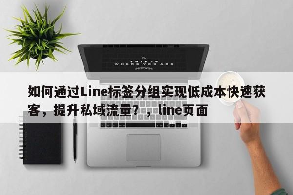 如何通过Line标签分组实现低成本快速获客，提升私域流量？，line页面