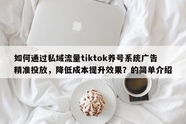 如何通过私域流量tiktok养号系统广告精准投放，降低成本提升效果？的简单介绍