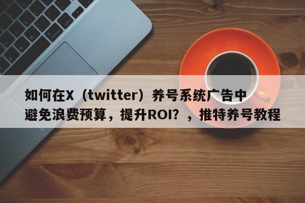 如何在X（twitter）养号系统广告中避免浪费预算，提升ROI？，推特养号教程