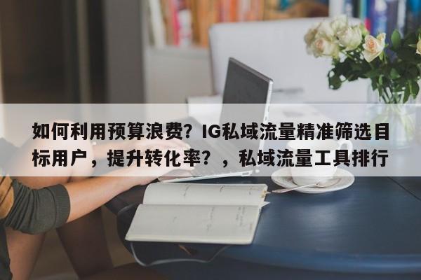 如何利用预算浪费？IG私域流量精准筛选目标用户，提升转化率？，私域流量工具排行