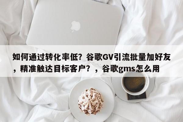 如何通过转化率低？谷歌GV引流批量加好友，精准触达目标客户？，谷歌gms怎么用