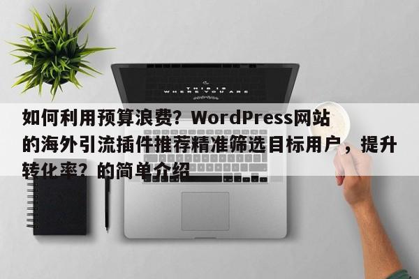 如何利用预算浪费？WordPress网站的海外引流插件推荐精准筛选目标用户，提升转化率？的简单介绍