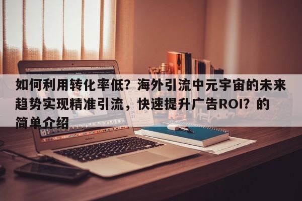 如何利用转化率低？海外引流中元宇宙的未来趋势实现精准引流，快速提升广告ROI？的简单介绍