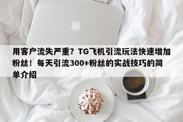 用客户流失严重？TG飞机引流玩法快速增加粉丝！每天引流300+粉丝的实战技巧的简单介绍