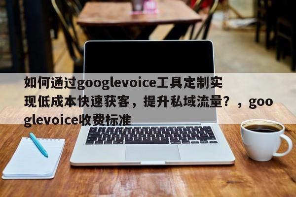 如何通过googlevoice工具定制实现低成本快速获客，提升私域流量？，googlevoice收费标准