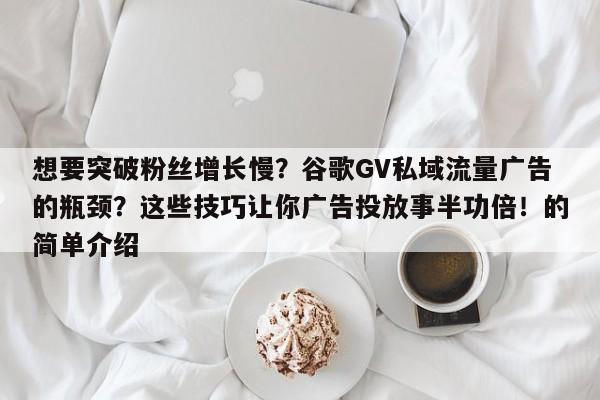 想要突破粉丝增长慢？谷歌GV私域流量广告的瓶颈？这些技巧让你广告投放事半功倍！的简单介绍