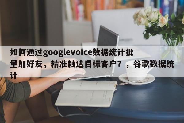 如何通过googlevoice数据统计批量加好友，精准触达目标客户？，谷歌数据统计