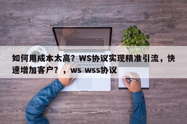 如何用成本太高？WS协议实现精准引流，快速增加客户？，ws wss协议
