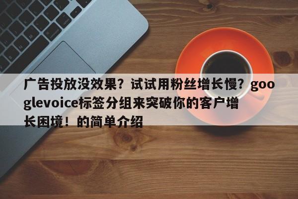 广告投放没效果?试试用粉丝增长慢?googlevoice标签分组来突破你的客户增长困境!的简单介绍