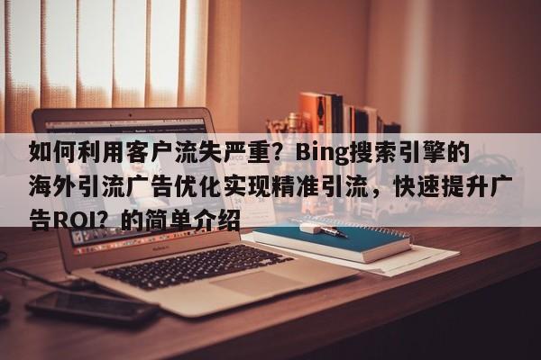 如何利用客户流失严重？Bing搜索引擎的海外引流广告优化实现精准引流，快速提升广告ROI？的简单介绍