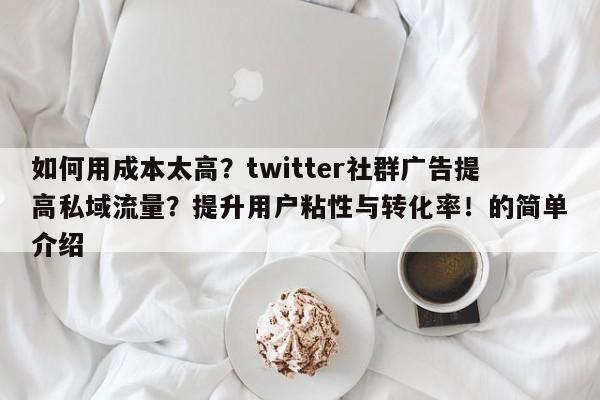 如何用成本太高？twitter社群广告提高私域流量？提升用户粘性与转化率！的简单介绍
