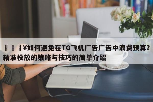 💥如何避免在TG飞机广告广告中浪费预算？精准投放的策略与技巧的简单介绍