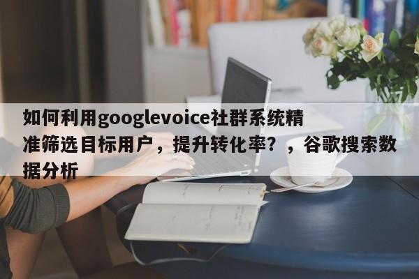 如何利用googlevoice社群系统精准筛选目标用户，提升转化率？，谷歌搜索数据分析