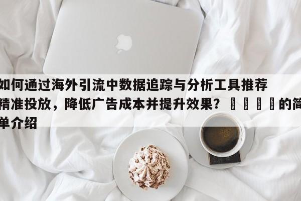 如何通过海外引流中数据追踪与分析工具推荐精准投放，降低广告成本并提升效果？📣的简单介绍