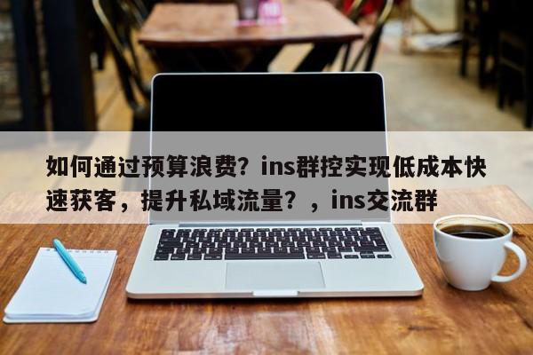 如何通过预算浪费？ins群控实现低成本快速获客，提升私域流量？，ins交流群