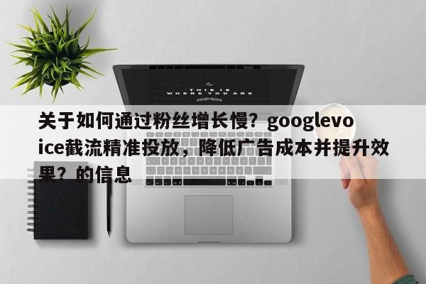 关于如何通过粉丝增长慢？googlevoice截流精准投放，降低广告成本并提升效果？的信息