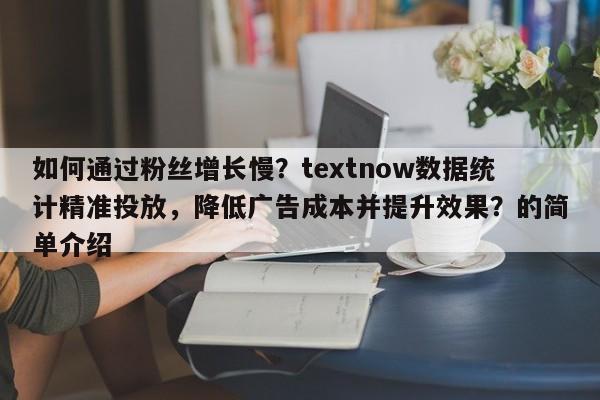 如何通过粉丝增长慢？textnow数据统计精准投放，降低广告成本并提升效果？的简单介绍