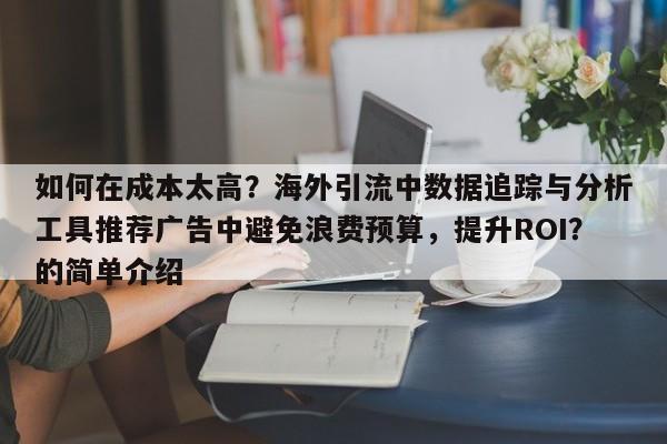 如何在成本太高？海外引流中数据追踪与分析工具推荐广告中避免浪费预算，提升ROI？的简单介绍