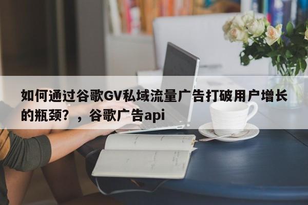 如何通过谷歌GV私域流量广告打破用户增长的瓶颈？，谷歌广告api