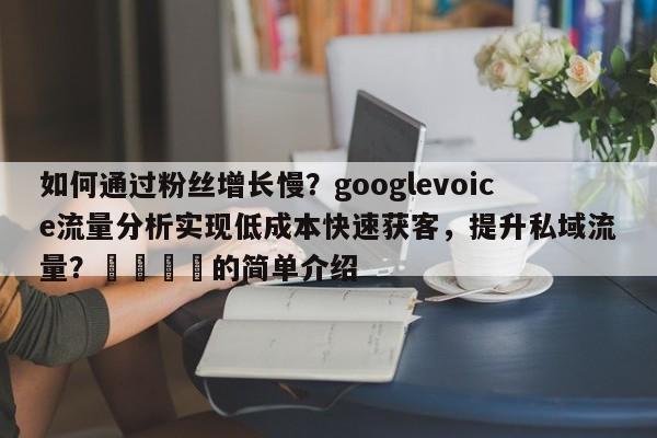 如何通过粉丝增长慢？googlevoice流量分析实现低成本快速获客，提升私域流量？📌的简单介绍